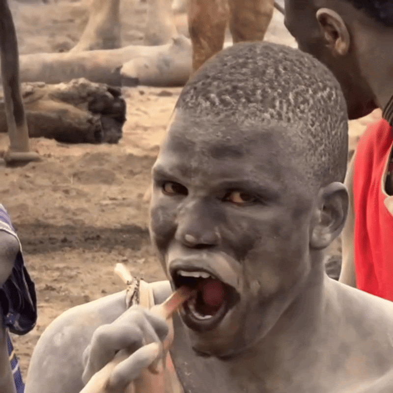 Miswak demonstration